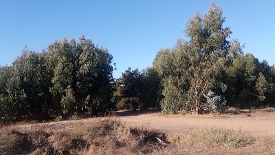 Photos of playa solitaria