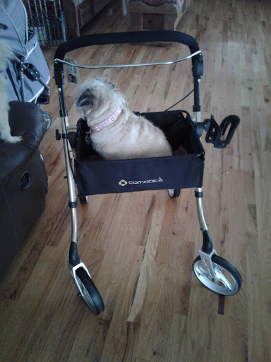 Blackhawk Veterinary Services, Ltd. - Thumbnail