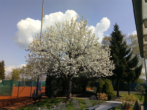 ATSV Erlangen - Thumbnail
