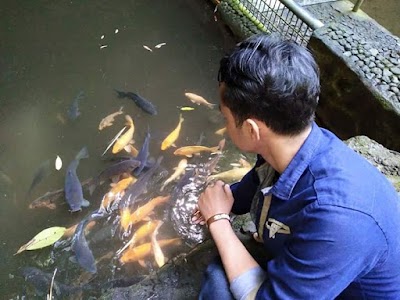 Photos of Situ Cihaur