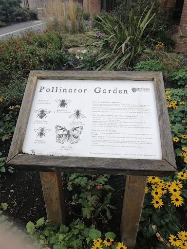 Brandling Park - Thumbnail