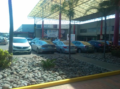 Photos of Pronaca