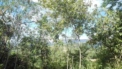 Photos of El Colmenar