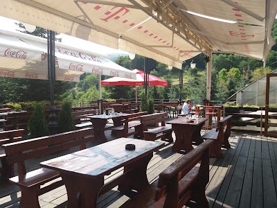 Photos of Hotel Bistra