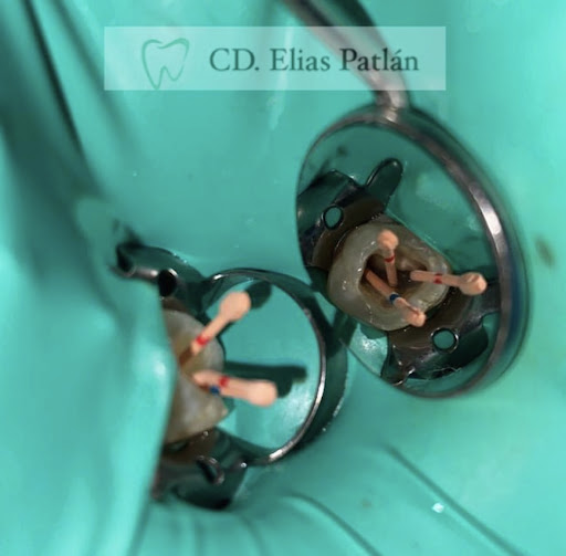 Clinica dental Vida dental - Thumbnail