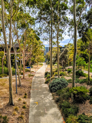 Monash University Peninsula Campus - Thumbnail