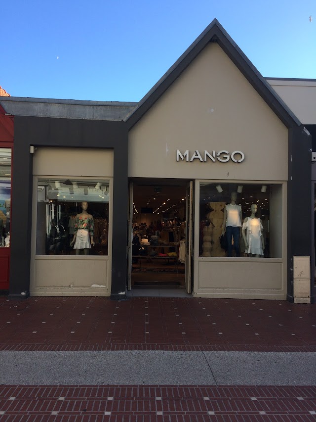 Mango
