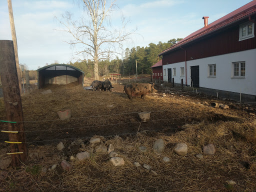 Nysveds Gård - Thumbnail