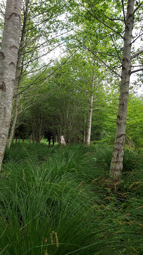 Menhir de Kerhuel - Thumbnail