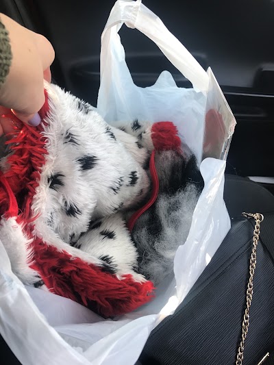 Photos of Sinderella Costume Hire and Sale items