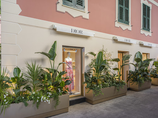 DIOR Paraggi - Visual