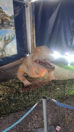 Dinoshark - Thumbnail