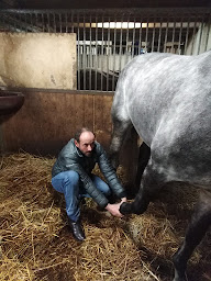 Photo n°3 de MC Ostéopathe Equin en Normandie à Thue et Mue (Ostéopathe)