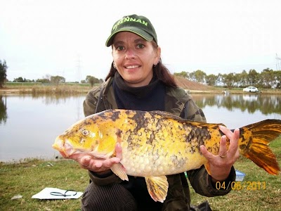 Photos of Golden Ponds