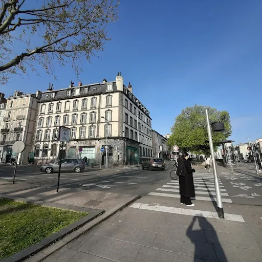 La Fontaine de la Place Delille - Thumbnail