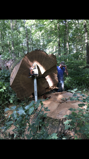 Poignant Logging - Thumbnail