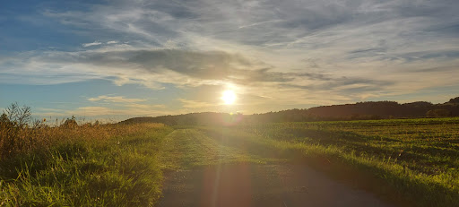 Rathaus Steißlingen - Thumbnail