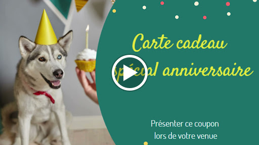 Photo de Centre de loisirs canin - Steph' Symbiose Education Canine à Bézu-Saint-Éloi (27660)