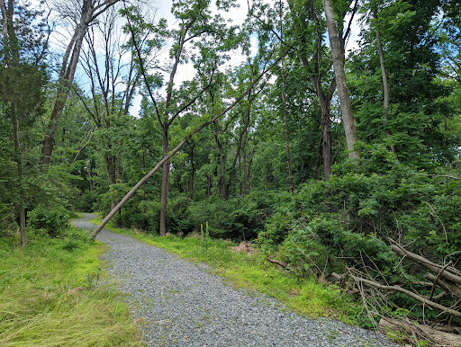 Sunset Park / Trailhead - Thumbnail