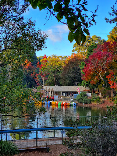 Lakeside Paddleboats Pty Ltd - Thumbnail