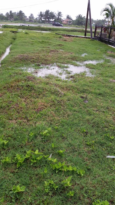 Photos of Community Center Ground