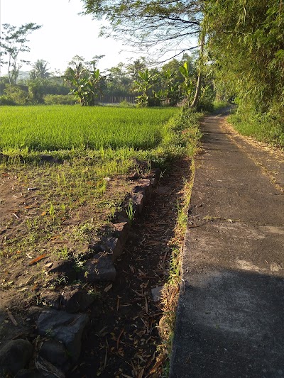 Photos of Cv Kono Kene Kempel