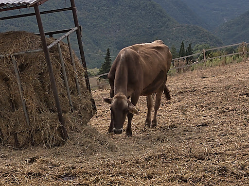 Azienda Agricola Pontesopra - Thumbnail