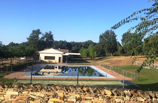 Piscina Municipal Robleda Gallery - Spain