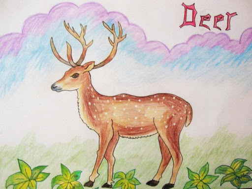 color pencil shading post image