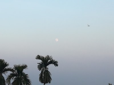 Photos of Zafar Imam Tennis Complex