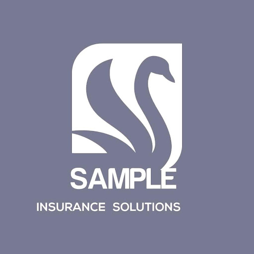 Sample Insurance - Visual