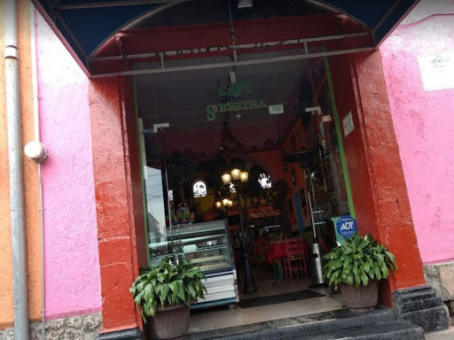Café bertha - Visual
