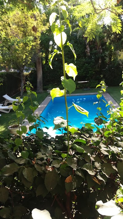 Photos of Villa De La Palmera
