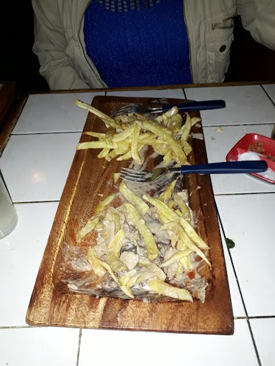Photos of Bar iguana