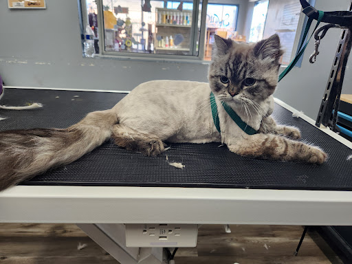 Swell Pet Supply Plus - Thumbnail