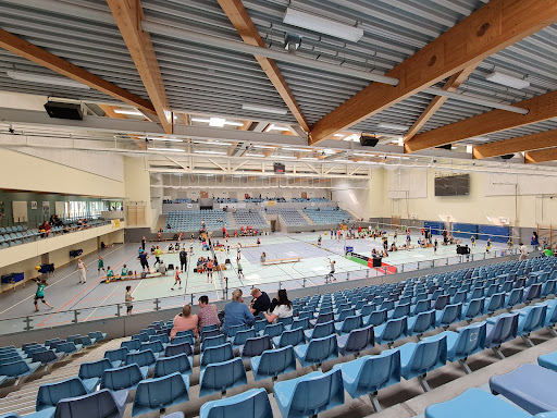 CU Arena - Visual