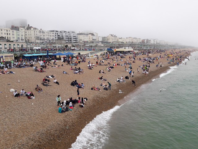 SEA LIFE Brighton