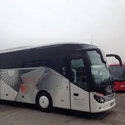 Photos of Trasporti Turistici Manieri Bus Venosa