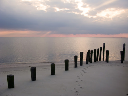 Kimberly Newsome Resources Real Estate Broker - Thumbnail