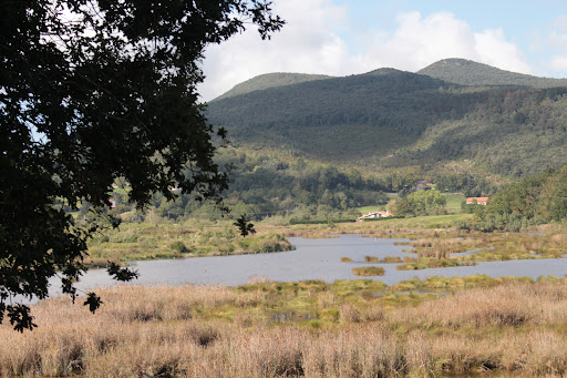 Urdaibai Bird Center - Thumbnail