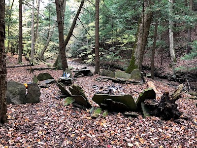 East Otto State Forest