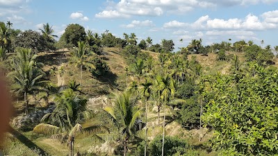 Photos of Hanging Bridge