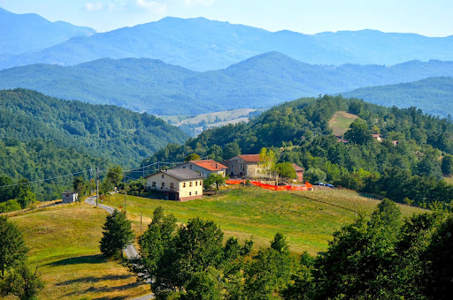 Organic farm - farm "The sky Strela" Mario Marini - Thumbnail