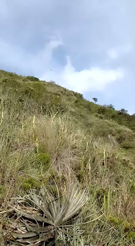 Teléfono de JAKA PUNKU