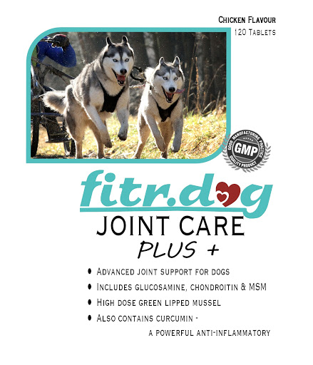 fitr.dog - Visual