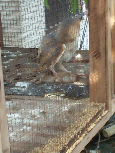 Photos of D.E.PAY. House of Bird and Farm
