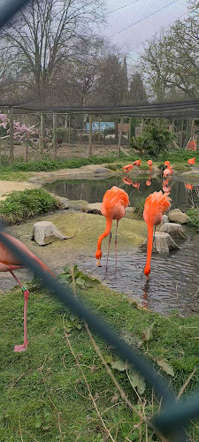 Reviews of Hanwell Zoo in London - Church