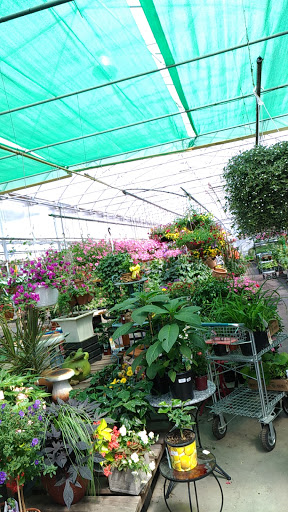 Jardin des Trouvailles | Serres & Jardinerie - Thumbnail