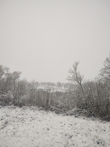 Weinberg - Visual