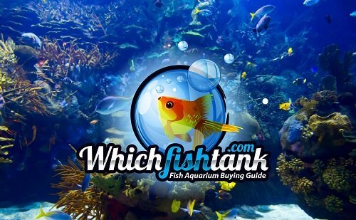 WhichFishTank.Com